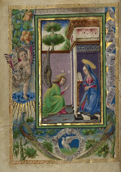 البشارة بواسطة تاديو كريفيلي